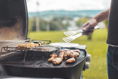 Close up of chicken wings, cheese and vegetables on gas grill. Summer time, outdoors