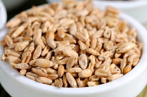 Cooked wheat (Triticus fructus levis), Fu Xiao Mai