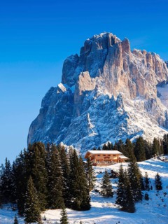 Mt Sasso Lungo or Mt Langkofel with a mountain refuge at front, Seiser Alm alpine meadow, South