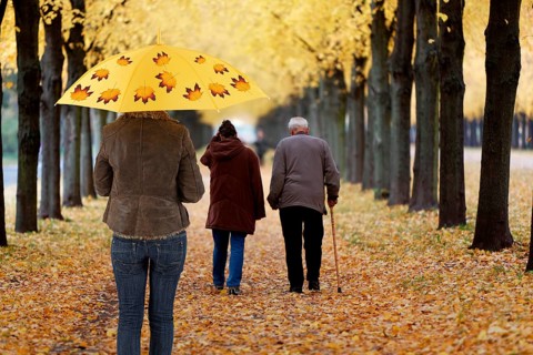 Autumn walk, Hanover, Lower Saxony, Germany, Europe