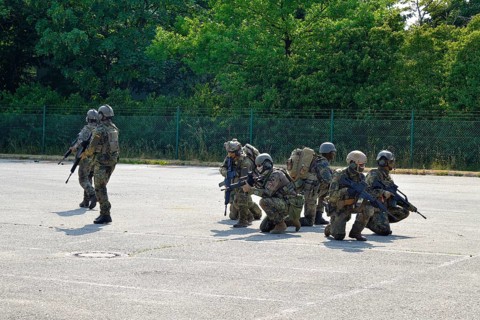 Bundeswehr soldiers during a demonstration, Bundeswehr Day, Munich, Bavaria, Germany, Europe