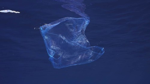 Disposable blue plastic bag floats under surface in blue water. Plastic bag thrown into sea drifts