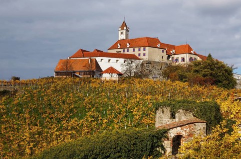 Riegersburg Castle in autumn, vineyard at front, Riegersburg, East Styria, Styria, Austria, Europe
