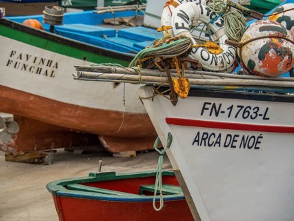 Boats in the harbour, one equipped with the name Arca de Noé, lifebuoys and ropes on the boats,
