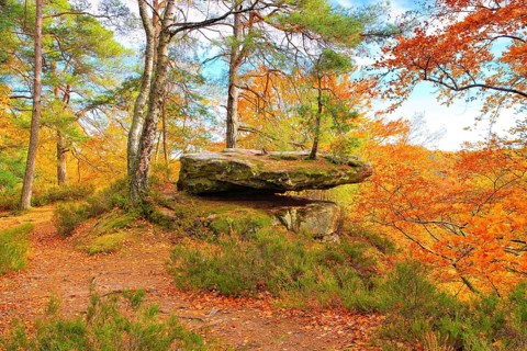 Old castle rock in Dahner Felsenland in autumn, Old castle rock in Dahn Rockland in autumn,