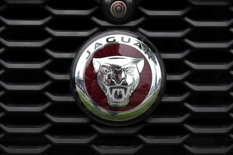 Logo of the car manufacturer Jaguar