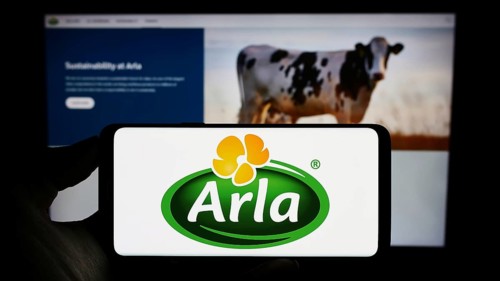 Stuttgart, Germany, 09-08-2023: Person holding mobile phone with logo of Nordic dairy company Arla