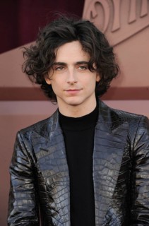 Timothee Chalamet at the Los Angeles premiere of 'Wonka' held at the Regency Village Theater in