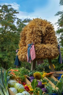 Harvest crown tied from different cereals for Thanksgiving, set up over various freshly harvested