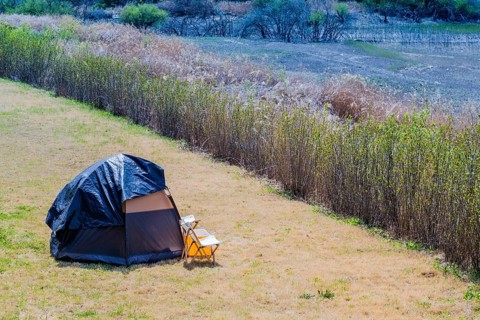 One man tent pitched in field in countryside in South Korea