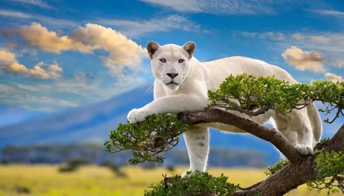 AI generated, animal, animals, mammal, mammals, biotope, habitat, a, individual, foraging,