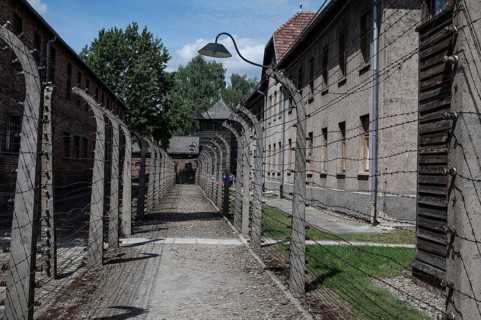 Fence made by barbed wire in the German nazi concentration camp Auschwitz Birkenau