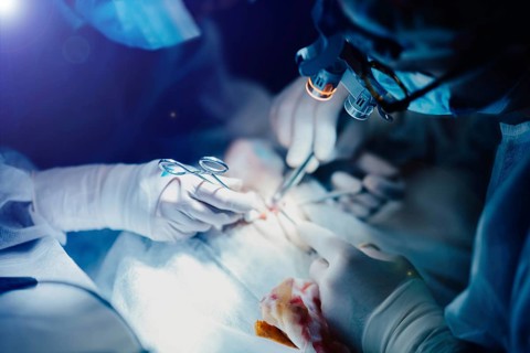 Surgeon operating on patient in operating room close up, surgical operation