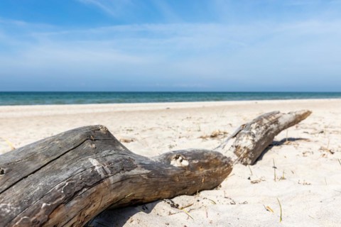 Baltic Sea beach West beach Darßer Ort