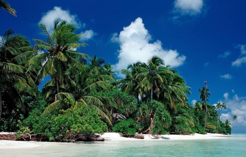 Dream beach in the Maldives, Maldives, Indian Ocean, Medhufushi, Meemu Atoll, Asia