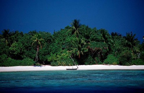 Maldives Island Rhasdoo, Native Island, Maldives, Indian Ocean, Rasdhoo Atoll, Asia