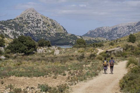 Dry stone path GR221, Binimorat valley, Three Thousand Route, (Tres Mils), Fornalutx, Majorca,