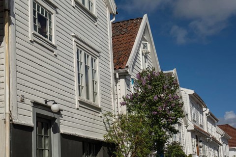 White wooden houses with blooming flowers and clear blue sky in the background, stavanger, norway