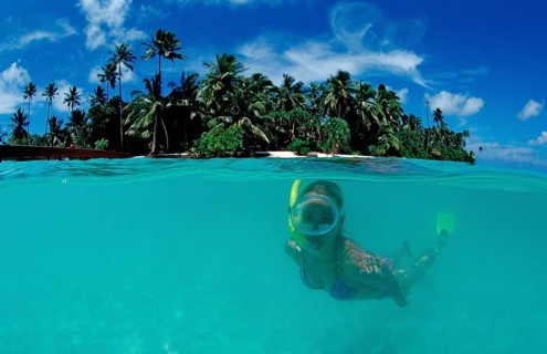 Snorkelling off Palm Island, Maldives, Indian Ocean, Meemu Atoll, Asia