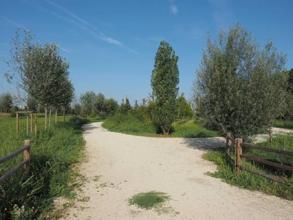 Berlinguer Park in Settimo Torinese, Italy, Europe