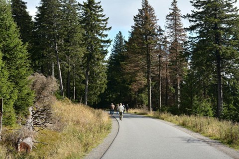 Hikers on the way from the summit of the Brocken to the village of Schierke in the Harz National