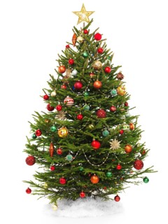 Beautiful decorated Christmas tree with a star topper isolated on white background