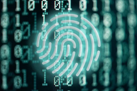 glowing fingerprint symbol against binary code digital background, internet security and privacy