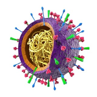 Colored particle of Flu virus H1N1 H5N1 influenza A virus, virion structure. 3D illustration