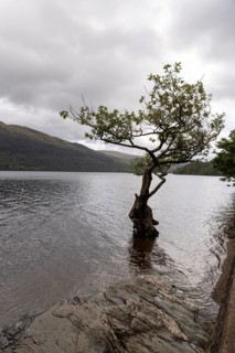 Rainy weather in a suit, panorama at Loch Lomond, Firkin Point, Loch Lomond and the Trossachs
