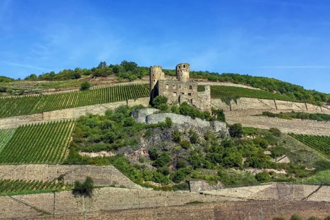 Ehrenfels Castle is a ruined hillside castle above the Rhine Gorge near the town of Rudesheim am