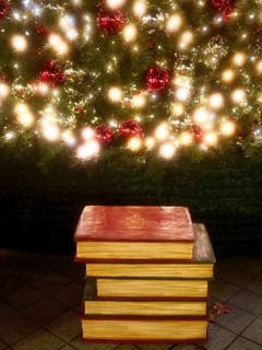 Books under the Christmas tree, Decoration, Roermond, Netherlands