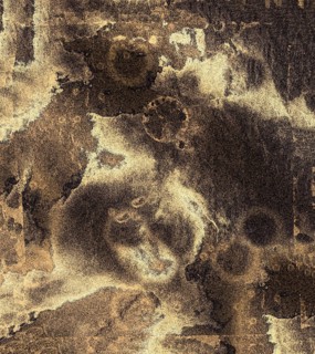 Intricate abstract artwork in sepia tones featuring complex patterns with a mix of dark and light