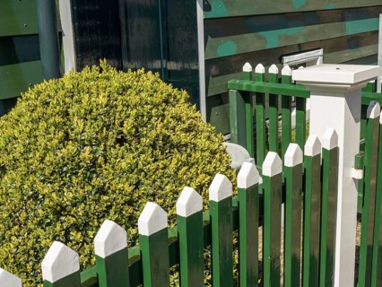 White-green fence in front of a small house and a large green hedge, enkhuizen, the netherlands