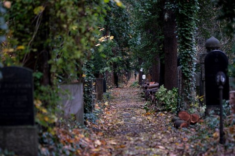 Germany, Berlin, 19.11.2023, Weißensee Jewish Cemetery, autumnal avenue, gravestones, Europe