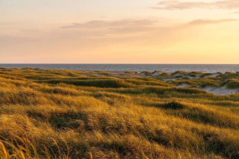 Evening at Vorupör harbour, Thy, Jutland, Denmark, Europe
