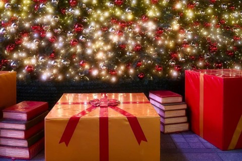 Parcels and books under the Christmas tree, Decoration, Roermond, Netherlands