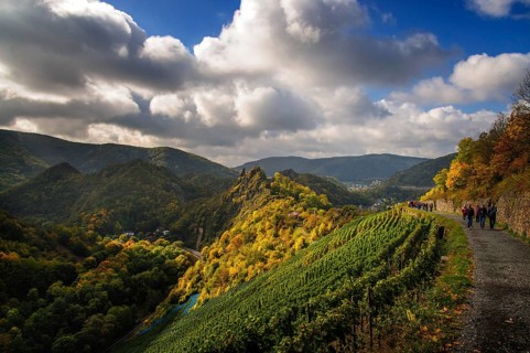 Hikers on the red wine trail from Altenahr to Mayschoß