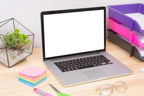 Laptop with green plant stickers table