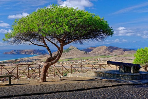 Viewpoint Miradouro do Pico Castelo, Cannon, Pine, Porto Santo Island, Madeira Island