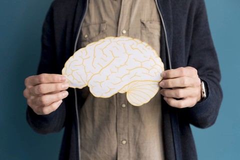Close up man holding paper brain. Resolution and high quality beautiful photo