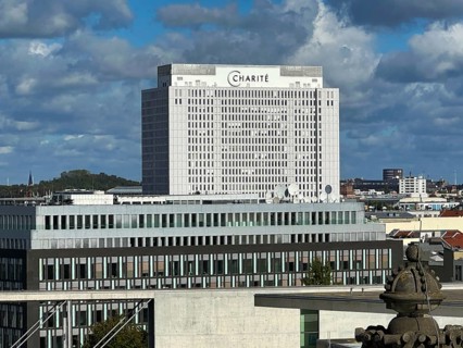 Charite, traditional hospital in Berlin, Berlin, Germany, Europe