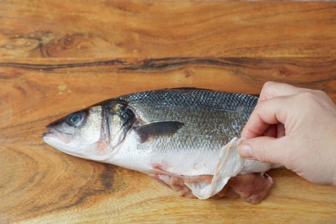 Woman removing a piece of plastic from the belly of a seabass on a wooden table, concept of plastic
