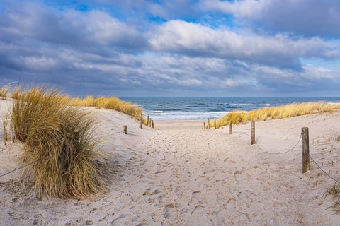 Beach on the coast of the Baltic Sea in Graal Müritz