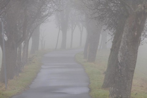 Foggy field path near Rathewalde in Saxon Switzerland, Rathewalde, Saxony, Germany, Europe