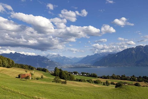 Mont-Pèlerin (Pilgrims' Mountain) with view of Lake Geneva and the Alps, near Vevey, Canton Vaud,