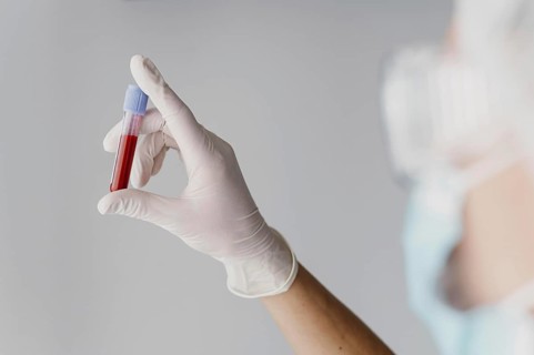 Back view doctor holding blood sample. Resolution and high quality beautiful photo