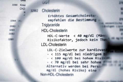 Cholesterinwerte