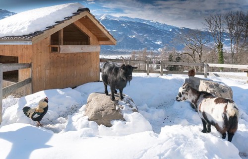Maienfeld, GR, Switzerland - January 20, 2019: Maienfeld tourist attraction Heidi village in winter