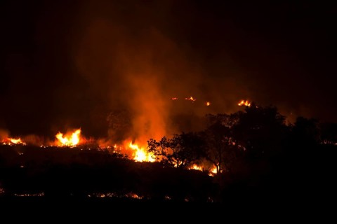 Bushfire, KwaZulu-Natal, South Africa, Fire, Africa