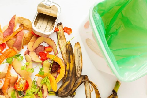 Arrangement leftover wasted food bin